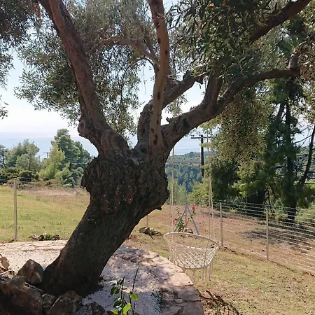 Сasa de vacaciones Halkidiki Kassandra 3 P Agia Paraskevi (Kassandra)