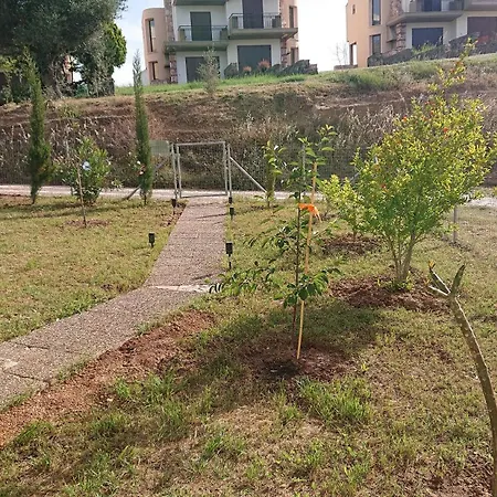 Halkidiki Kassandra 3 P 圣帕拉斯凯维